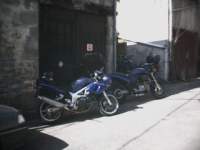 La SV et la Buell
